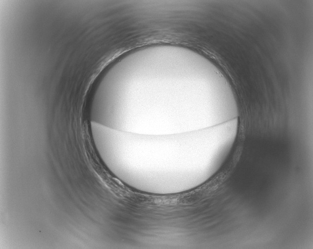 X0000051880626200507221950