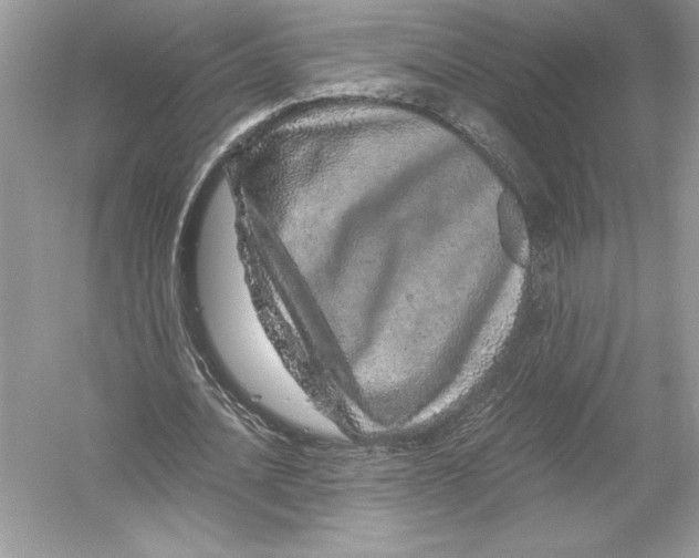 X0000051880628200507221950