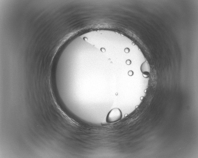 X0000051880629200507221950