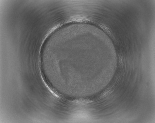 X0000051880630200507221950