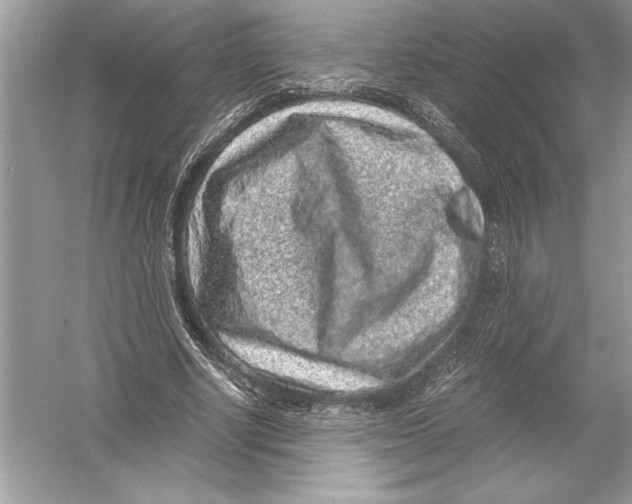 X0000051880634200507221950