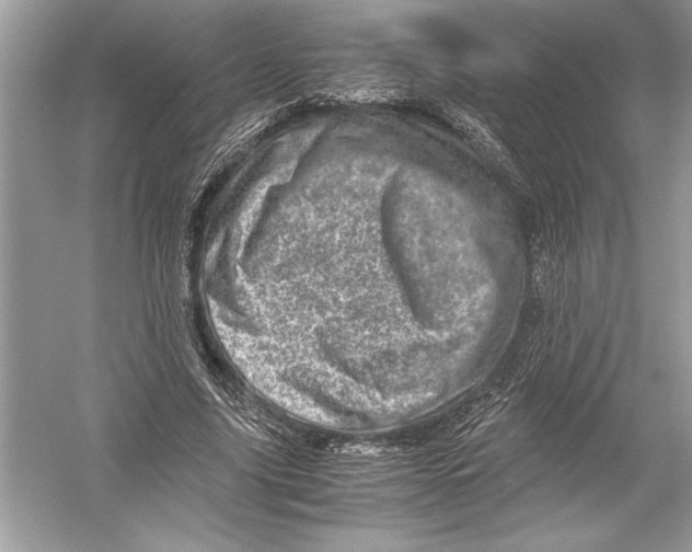 X0000051880635200507221950