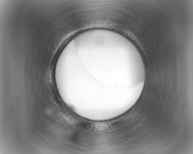 X0000051880636200507221950