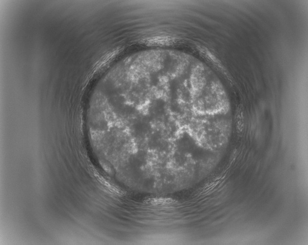 X0000051880637200507221950