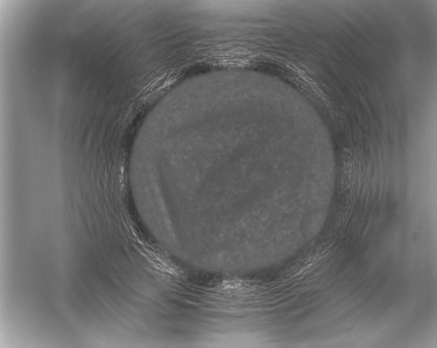 X0000051880641200507221950