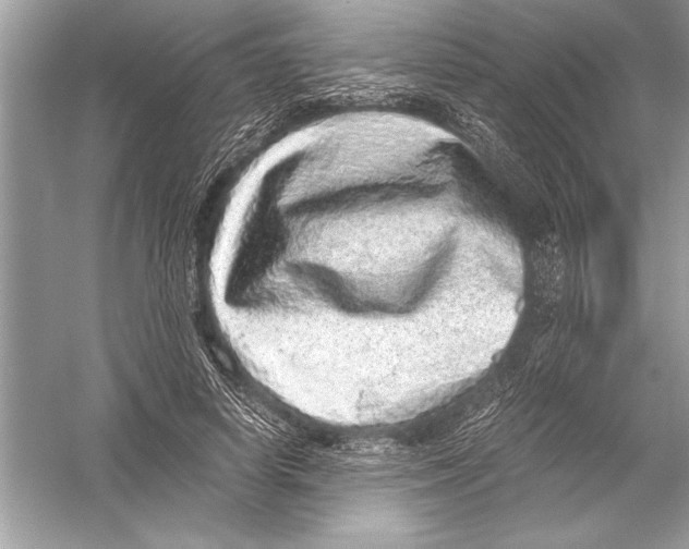 X0000051880642200507221950