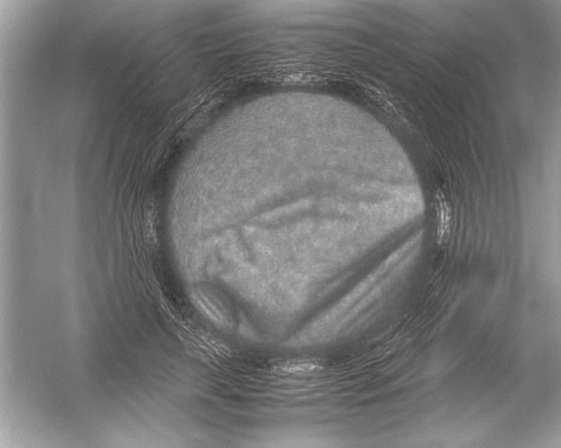 X0000051880643200507221950