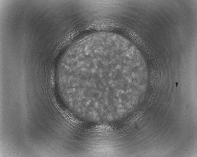 X0000051880644200507221950