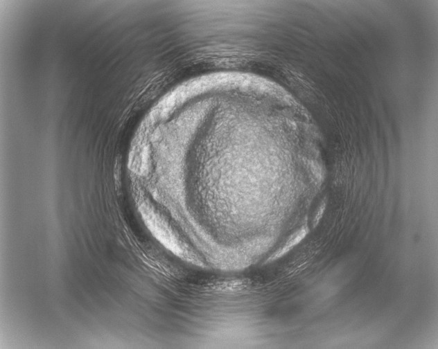 X0000051880646200507221951