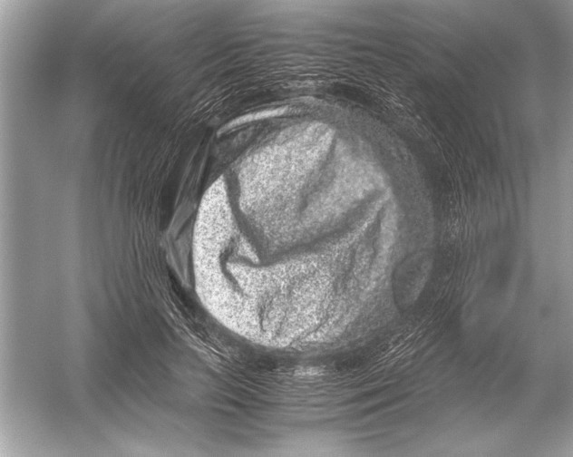 X0000051880647200507221951