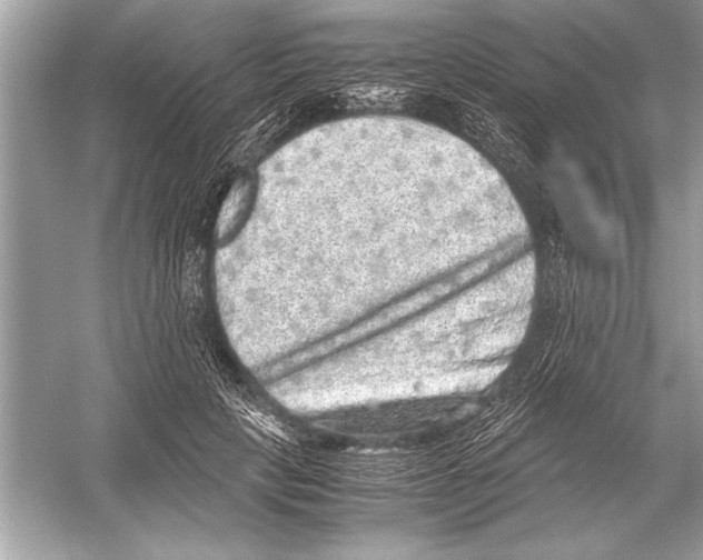 X0000051880649200507221951