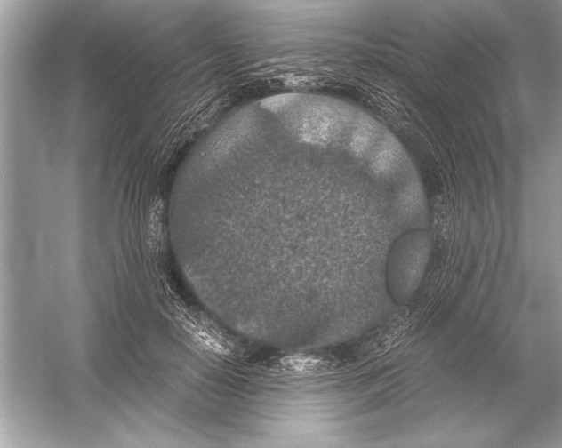 X0000051880650200507221951