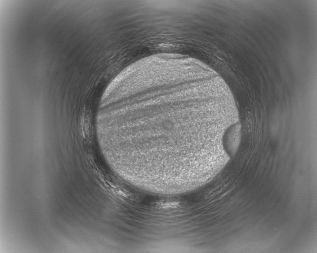 X0000051880651200507221951