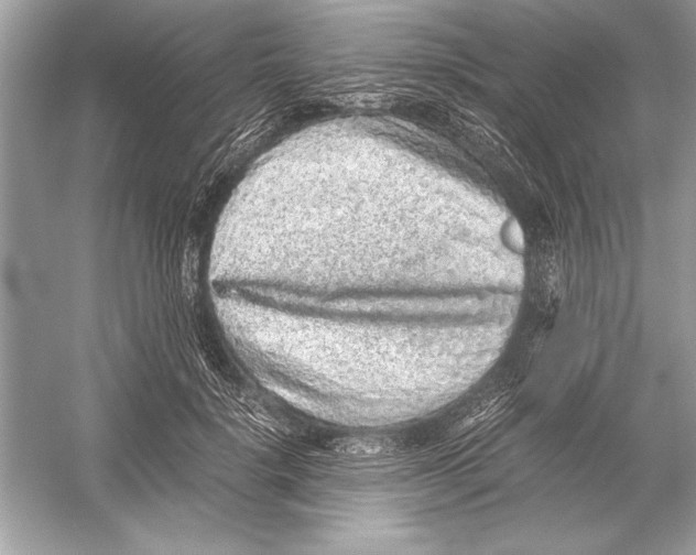 X0000051880652200507221951