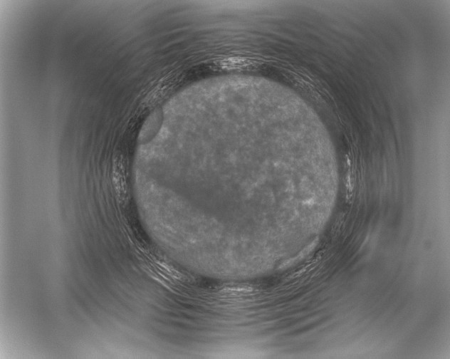 X0000051880653200507221951