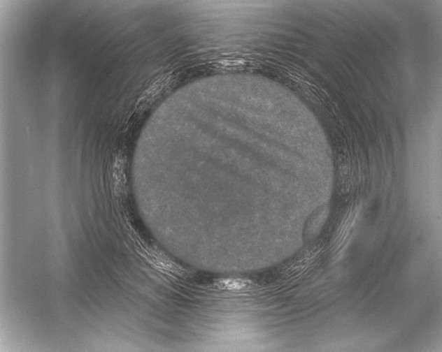 X0000051880654200507221951