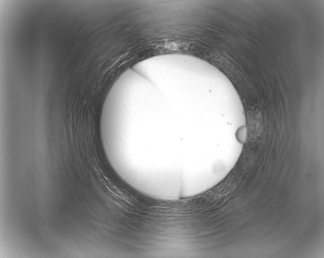 X0000051880656200507221951