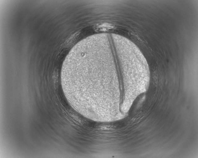 X0000051880657200507221951