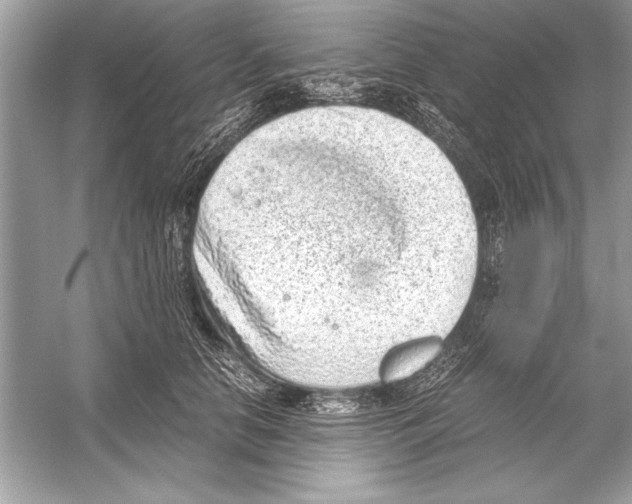 X0000051880658200507221951