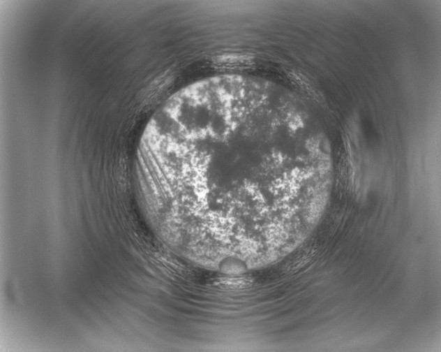 X0000051880659200507221951