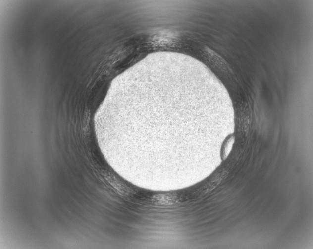 X0000051880660200507221951