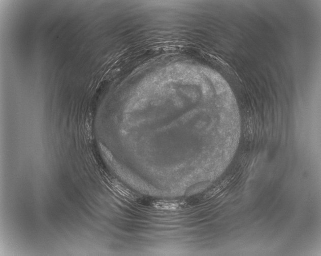 X0000051880661200507221951