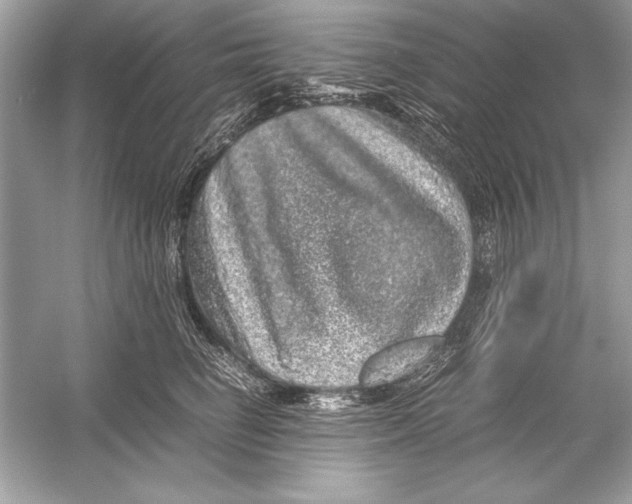 X0000051880662200507221951