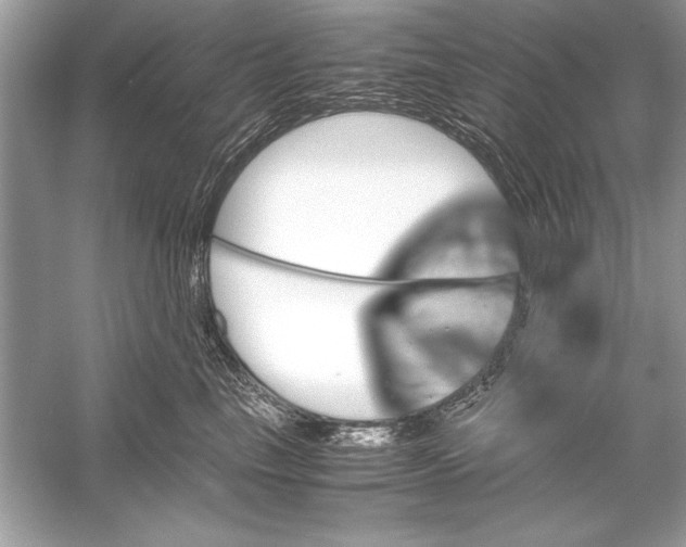 X0000051880665200507221951