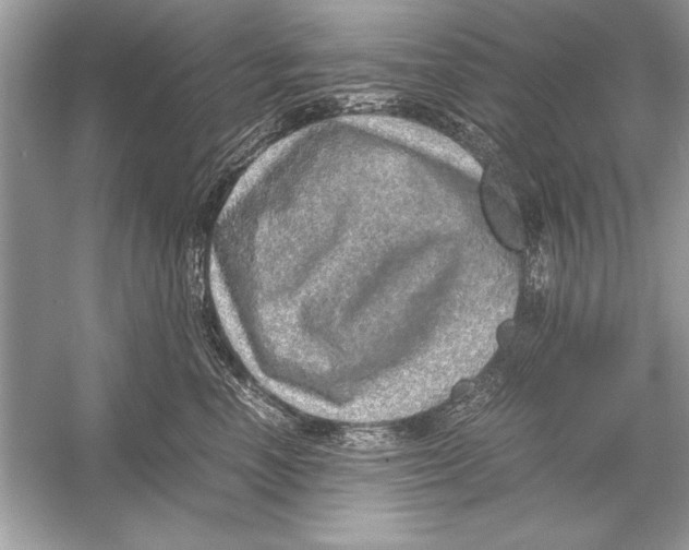 X0000051880666200507221951