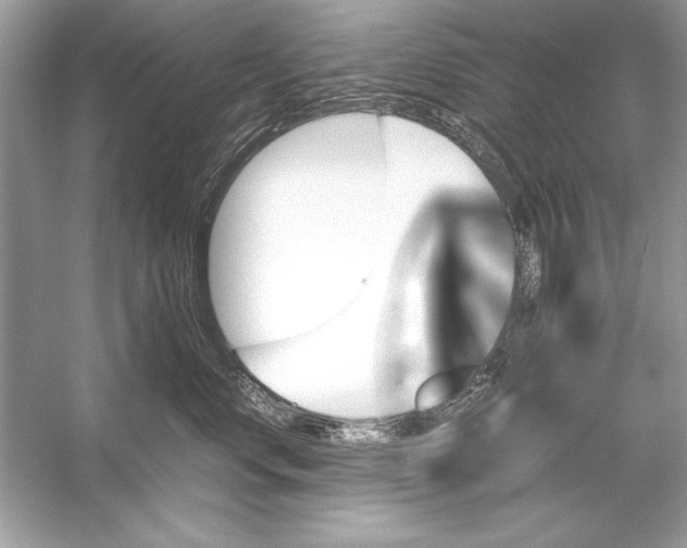 X0000051880668200507221951