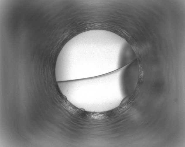 X0000051880669200507221951