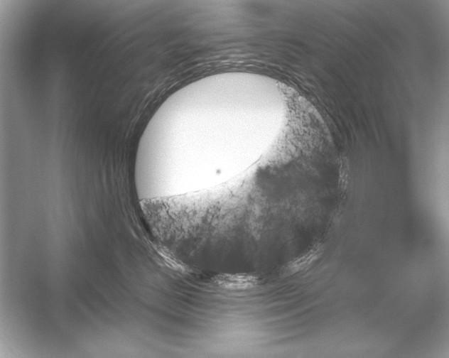 X0000051880670200507221951