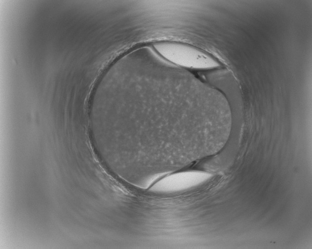 X0000051880673200507221950