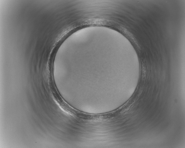 X0000051880674200507221950