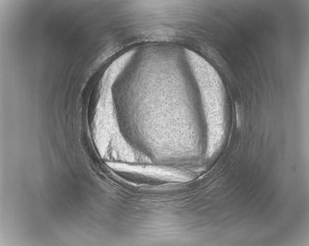 X0000051880675200507221950