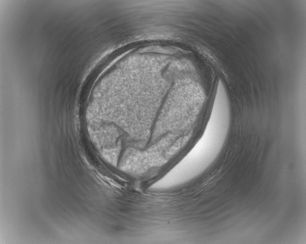 X0000051880676200507221950