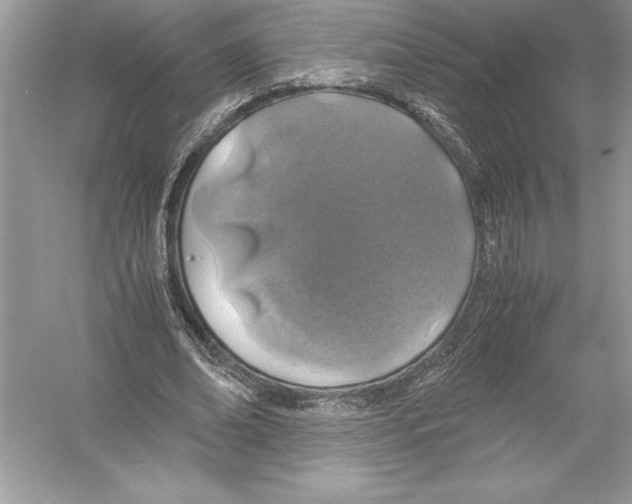 X0000051880678200507221950