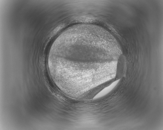 X0000051880679200507221950