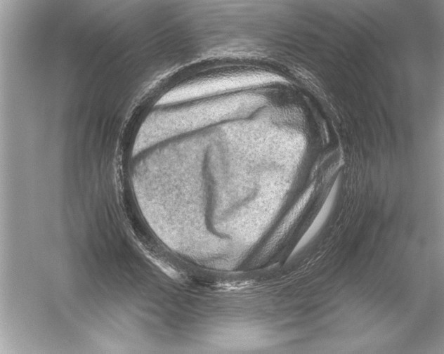 X0000051880680200507221950