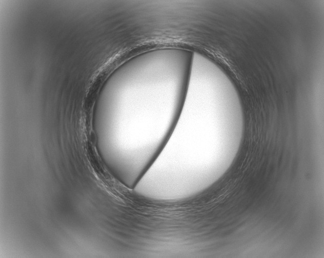 X0000051880684200507221950