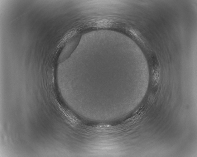 X0000051880685200507221950