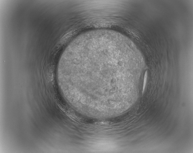 X0000051880687200507221950