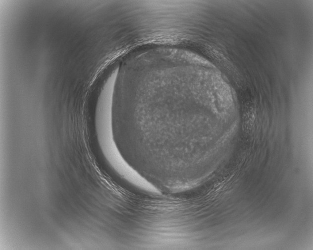 X0000051880688200507221950