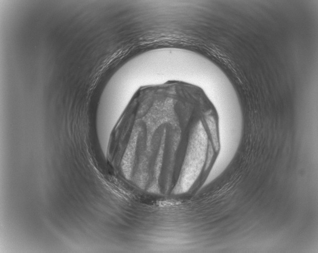 X0000051880690200507221950