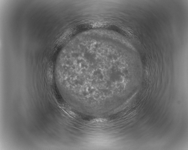 X0000051880691200507221950