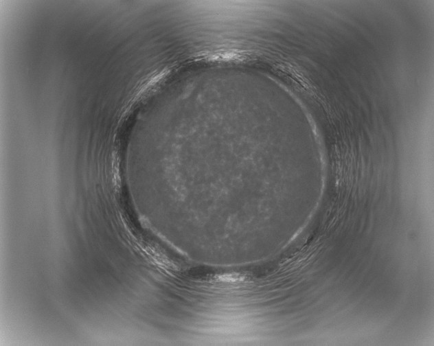 X0000051880692200507221950