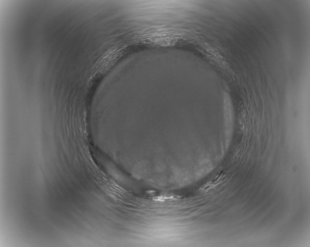 X0000051880693200507221950