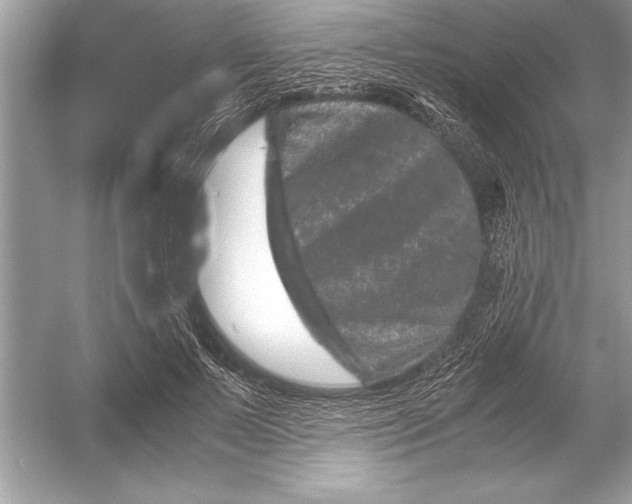 X0000051880695200507221950