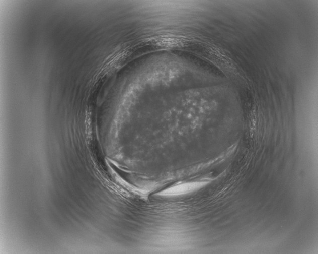 X0000051880696200507221950