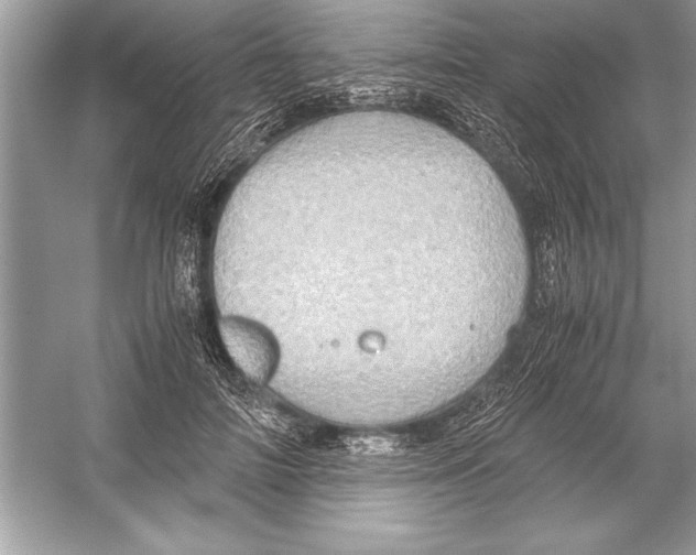 X0000051880698200507221950